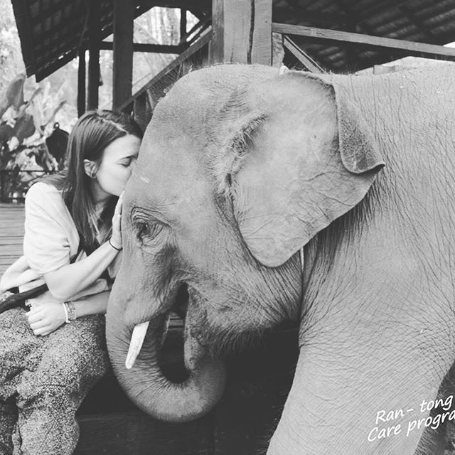Chiang-Mai-Elephant-Sanctuary-Volunteering-Programs